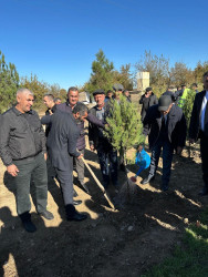 Zəfər Günü münasibətilə ağacəkmə aksiyası keçirilib