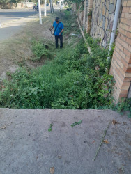 Beyləqan şəhərinin bir neçə küçəsində abadlıq-təmizlik işləri görülüb