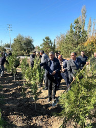 Zəfər Günü münasibətilə ağacəkmə aksiyası keçirilib