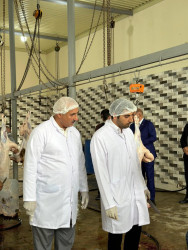 Beyləqanda müasir ət kəsim məntəqəsinin açılışı olub