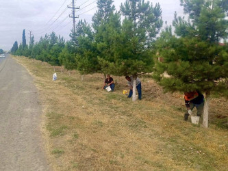 Rayon ərazisində iməcilik işləri davam etdirilir