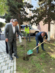 Beyləqanda “Konstitusiya və Suverenlik İli” çərçivəsində ağacəkmə aksiyası keçirilib.