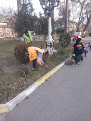 Beyləqanda rayonunda abadlıq işləri davam etdirilir.