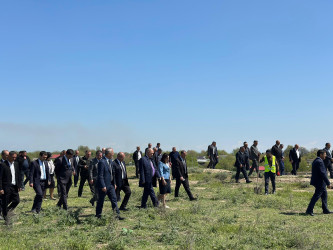 “Şəhərsalma və Memarlıq İli” çərçivəsində 18 Aprel–Beynəlxalq Abidələr və Tarixi Yerlər Günü qeyd olunub.