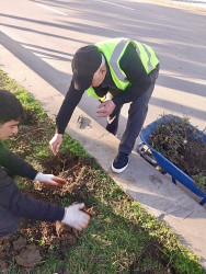 Beyləqanda əlverişli hava şəraiti ilə əlaqədar olaraq yaşıllaşdırma tədbirlərinə başlanılıb.