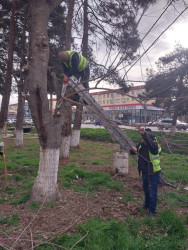 Beyləqanda abadlıq və bərpa-quruculuq işi davam etdirilir