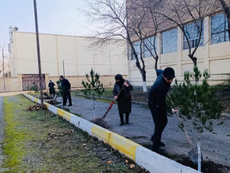 Beyləqanda genişmiqyaslı iməclik aksiyası keçirilib.