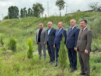 Beyləqanda “Konstitusiya və Suverenlik İli” çərçivəsində növbəti ağacəkmə aksiyası təşkil olunub.