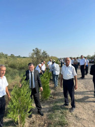 27 Sentyabr – Anım Gününə həsr olunmuş ağacəkmə aksiyası keçirilmişdir