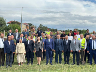 “Şəhərsalma və Memarlıq İli” çərçivəsində Beyləqan rayonu ərazisində ağacəkmə aksiyaları davam etdirilir.