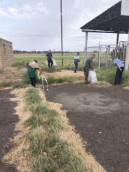 Beyləqanda ümumrayon iməcilik aksiyası təşkil olunub