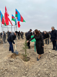 Beyləqan rayonunda “Gələcəyə nəfəs ol” devizi altında kütləvi ağacəkmə aksiyası keçirildi.