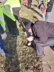 Beyləqanda əlverişli hava şəraiti ilə əlaqədar olaraq yaşıllaşdırma tədbirlərinə başlanılıb.