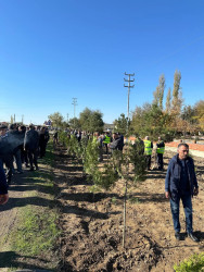 Zəfər Günü münasibətilə ağacəkmə aksiyası keçirilib