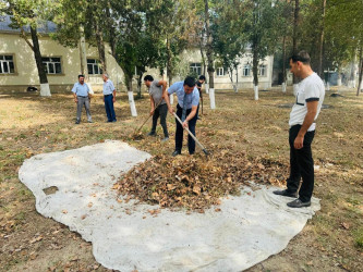 Beyləqan rayonunda “Yaşıl dünya naminə həmrəylik ili” çərçivəsində ümumrayon iməcliyi keçirilib.