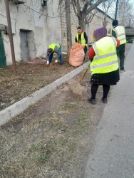 Beyləqan Rayon İcra Hakimiyyətinin təşkilatçılığı ilə rayon ərazisində ümumrayon iməcliyi davam etdirilir.