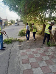 Şəhid Şamil Həsənov küçəsində təmizlik və abadlıq işləri aparılıb
