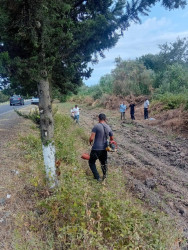 Beyləqanda ümumrayon iməcilik aksiyası təşkil olunub