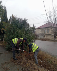 Rayon ərazisində təmizlik və abadlıq işlərinin davamlı şəkildə həyata keçirilməsi bu sahədə çalışan əməkdaşların gündəlik və fədakar əməyinin nəticəsidir.