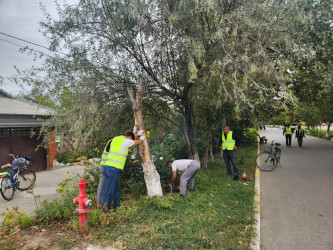 “Yaşıl dünya naminə həmrəylik ili” çərçivəsində rayonda növbəti iməcilik aksiyası keçirilib.