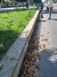 Beyləqan rayonu ərazisində abadlıq, təmizlik və yaşıllaşdırma işləri planlı şəkildə davam etdirilir.