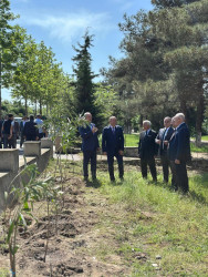 Beyləqanda “Konstitusiya və Suverenlik İli” çərçivəsində ağacəkmə aksiyası keçirilib.