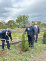 Beyləqan rayonunda növbəti ağacəkmə aksiyası keçirilib