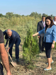 27 Sentyabr – Anım Gününə həsr olunmuş ağacəkmə aksiyası keçirilmişdir