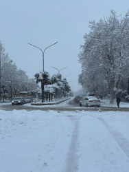Beyləqan rayonu 2026-cı ilin ilk qarını qarşılayıb