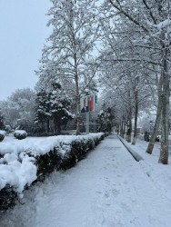 Beyləqan rayonu 2026-cı ilin ilk qarını qarşılayıb