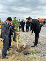 27 sentyabr - Anım Günü münasibəti ilə Beyləqan rayonunda ağacəkmə aksiyası keçirilmişdir.