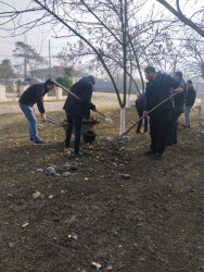 Beyləqan rayonu ərazisində iməcilik aksiyaları davam etdirilir