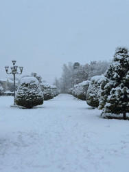 Beyləqan rayonu 2026-cı ilin ilk qarını qarşılayıb