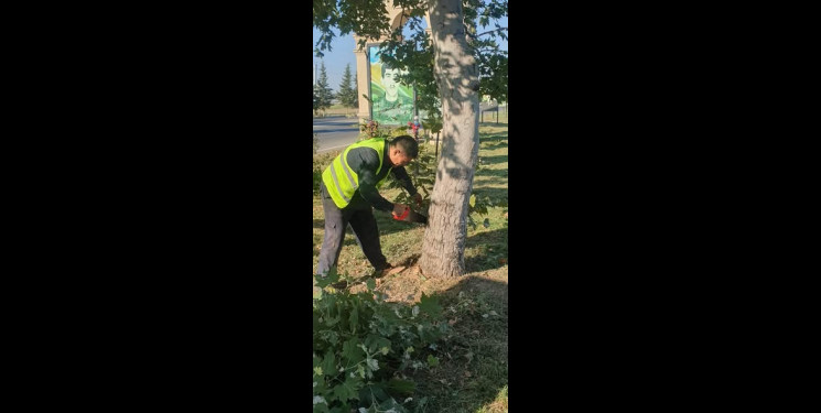 Beyləqan rayonu ərazisində abadlıq, təmizlik və yaşıllaşdırma işləri planlı şəkildə davam etdirilir.