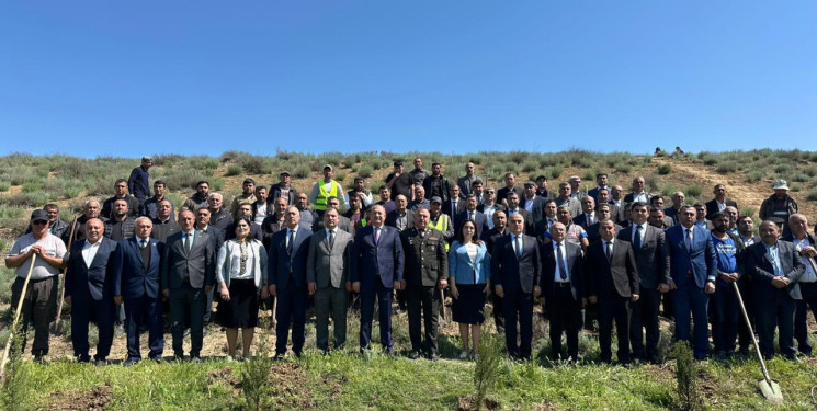 Beyləqanda “Şəhərsalma və Memarlıq İli” çərçivəsində ağacəkmə aksiyası keçirilib