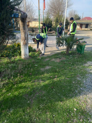 Beyləqanda “Yeni ilə təmiz mühitlə” devizi ilə ümumrayon iməcliyi keçirilib