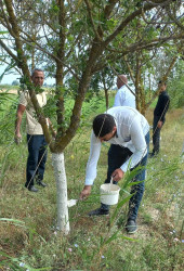 “Konstitusiya və Suverenlik İli” çərçivəsində iməcilik işləri davam etdirilir