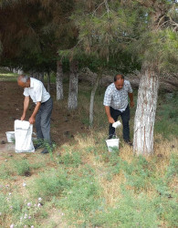 “Konstitusiya və Suverenlik İli” çərçivəsində iməcilik işləri davam etdirilir