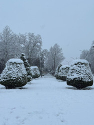 Beyləqan rayonu 2026-cı ilin ilk qarını qarşılayıb