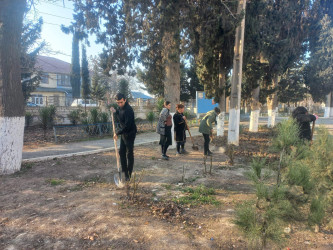 Beyləqanda genişmiqyaslı iməclik aksiyası keçirilib.
