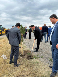 27 sentyabr - Anım Günü münasibəti ilə Beyləqan rayonunda ağacəkmə aksiyası keçirilmişdir.