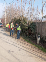 Beyləqanda “Yeni ilə təmiz mühitlə” devizi ilə ümumrayon iməcliyi keçirilib