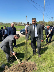 Beyləqanda “Şəhərsalma və Memarlıq İli” çərçivəsində ağacəkmə aksiyası keçirilib