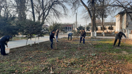 Beyləqanda genişmiqyaslı iməclik aksiyası keçirilib.