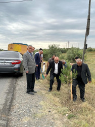 27 sentyabr - Anım Günü münasibəti ilə Beyləqan rayonunda ağacəkmə aksiyası keçirilmişdir.