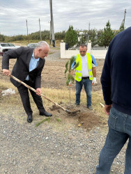 27 sentyabr - Anım Günü münasibəti ilə Beyləqan rayonunda ağacəkmə aksiyası keçirilmişdir.