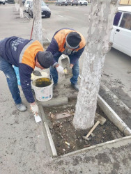 Beyləqan rayonunda təmir və abadlıq işləri davam etdirilir