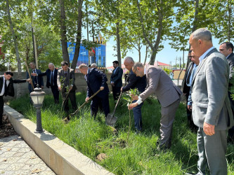 Beyləqanda “Konstitusiya və Suverenlik İli” çərçivəsində ağacəkmə aksiyası keçirilib.