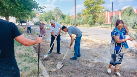 Beyləqan rayonunda “Yaşıl dünya naminə həmrəylik ili” çərçivəsində ümumrayon iməcliyi keçirilib.