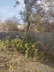 Beyləqanda “Yeni ilə təmiz mühitlə” devizi ilə ümumrayon iməcliyi keçirilib